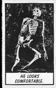 Monster cards. Monster midgee cards. Skeleton card.